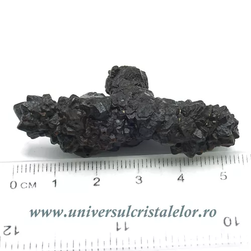 Piatra Profetiei (Piatra profetului) Piatra Profetiei (Piatra profetului)