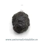 Pandantiv piatra profetiei (Piatra profetului) Pandantiv piatra profetiei (Piatra profetului)
