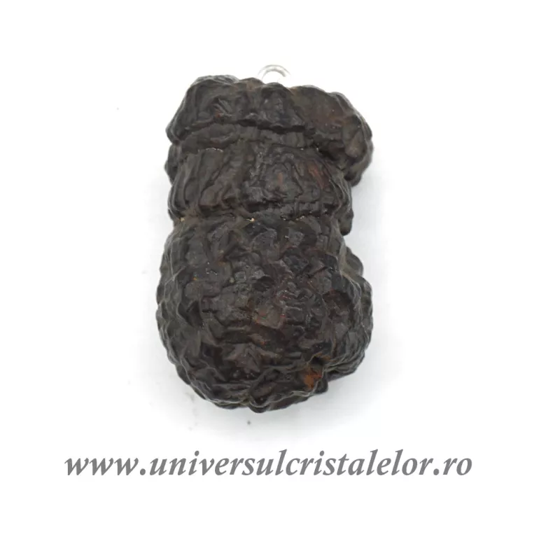 Pandantiv piatra profetiei (Piatra profetului) Pandantiv piatra profetiei (Piatra profetului)