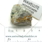 Wavelit Wavelit