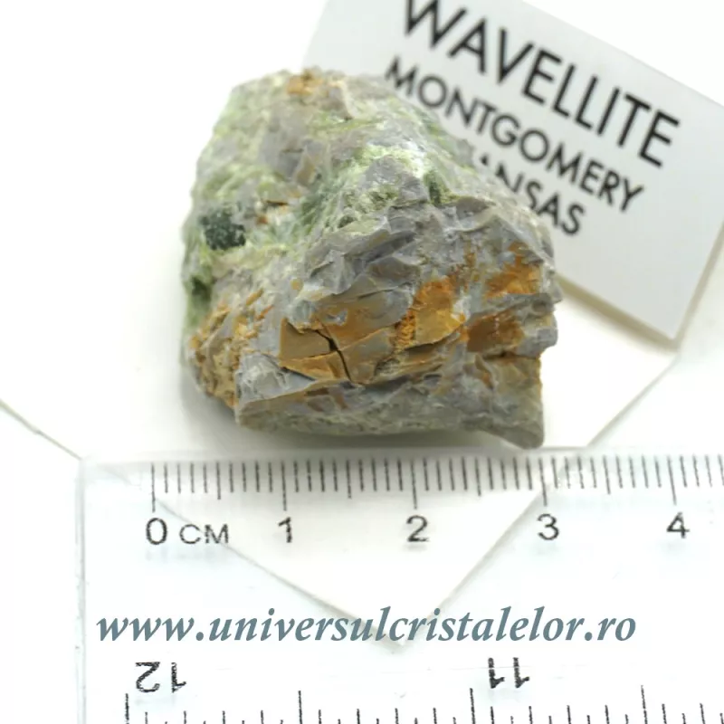 Wavelit Wavelit