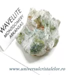 Wavelit Wavelit