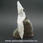 Papagal Papagal