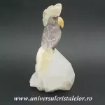 Papagal Papagal