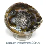 Scoica paua Scoica paua