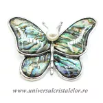 Brosa pandantiv abalone - fluture