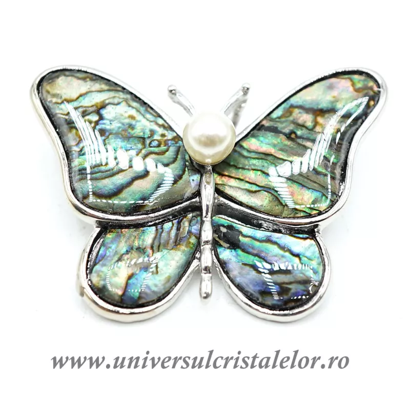 Brosa pandantiv abalone - fluture