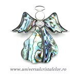 Brosa pandantiv abalone - inger