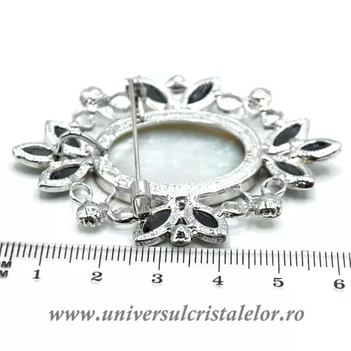 Brosa pandantiv abalone - tablou