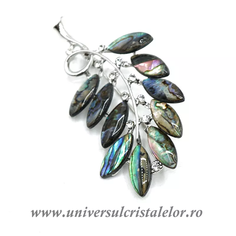 Brosa pandantiv abalone - crenguta