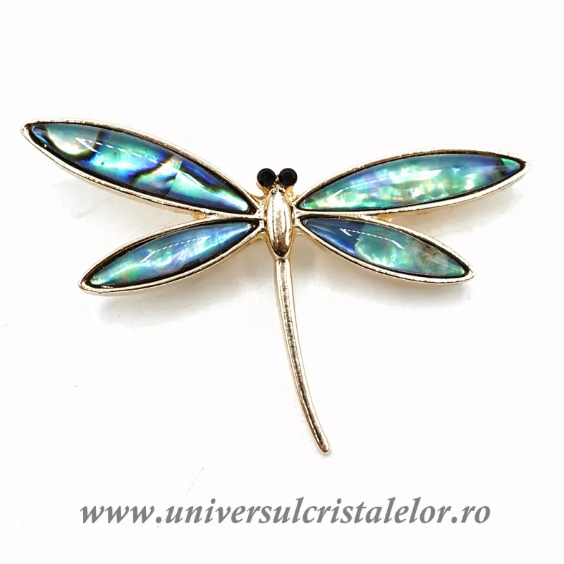 Brosa pandantiv abalone - lacusta