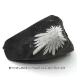 Piatra crizantema Piatra crizantema