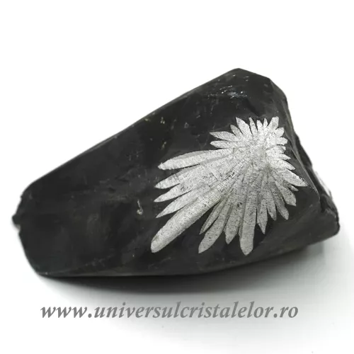 Piatra crizantema Piatra crizantema