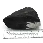 Piatra crizantema Piatra crizantema