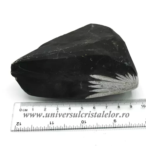 Piatra crizantema Piatra crizantema