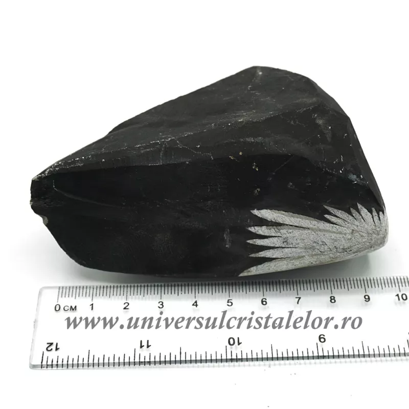Piatra crizantema Piatra crizantema