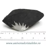 Piatra crizantema Piatra crizantema