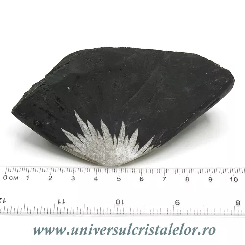 Piatra crizantema Piatra crizantema