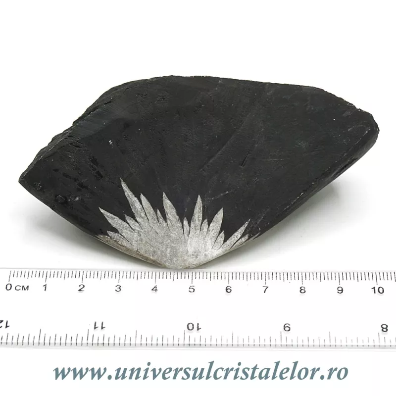 Piatra crizantema Piatra crizantema
