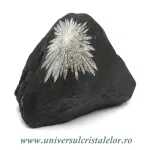 Piatra crizantema Piatra crizantema