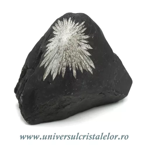 Piatra crizantema Piatra crizantema