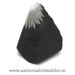 Piatra crizantema Piatra crizantema