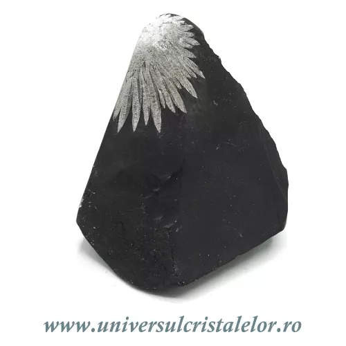 Piatra crizantema Piatra crizantema