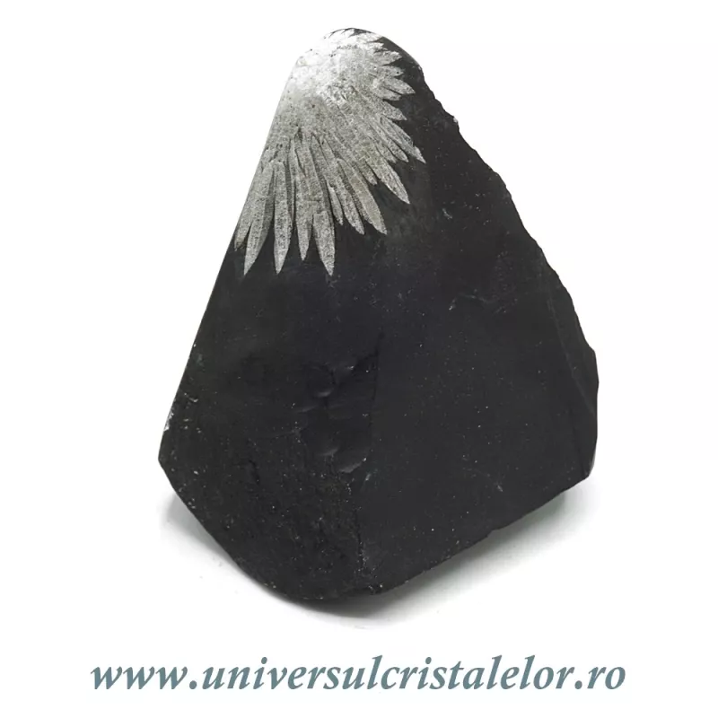 Piatra crizantema Piatra crizantema