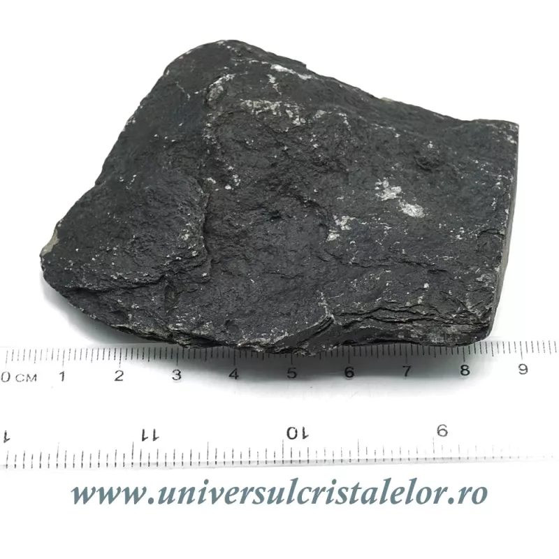 Piatra crizantema Piatra crizantema