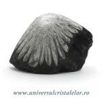 Piatra crizantema Piatra crizantema