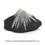 Piatra crizantema Piatra crizantema