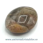 Piatra lunii polisata