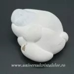 Piatra Zanelor ( menilit ) Piatra Zanelor ( menilit )