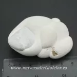 Piatra Zanelor ( menilit ) Piatra Zanelor ( menilit )