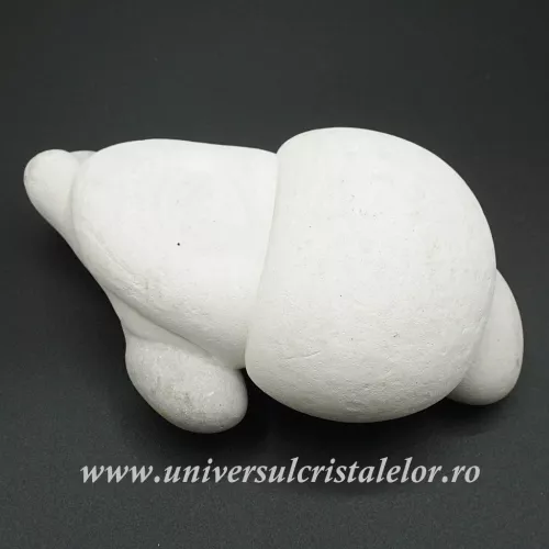 Piatra Zanelor ( menilit ) unicat m1 Piatra Zanelor ( menilit ) unicat m1
