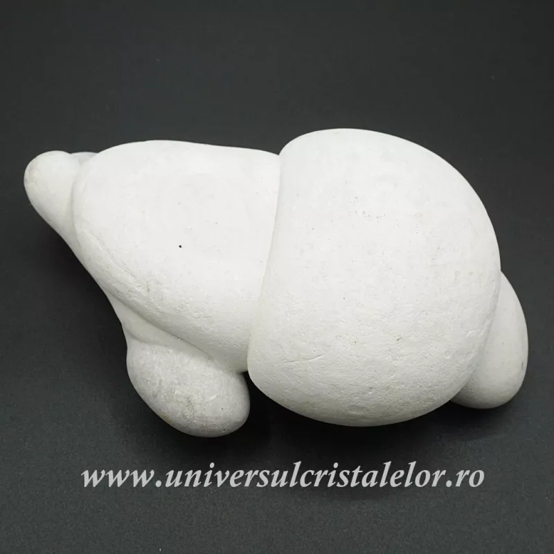 Piatra Zanelor ( menilit ) Piatra Zanelor ( menilit )