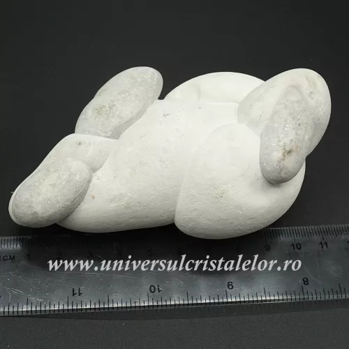 Piatra Zanelor ( menilit ) unicat m1 Piatra Zanelor ( menilit ) unicat m1