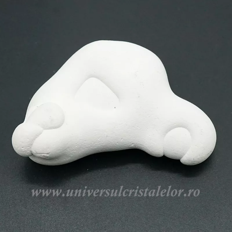 Piatra Zanelor ( menilit )