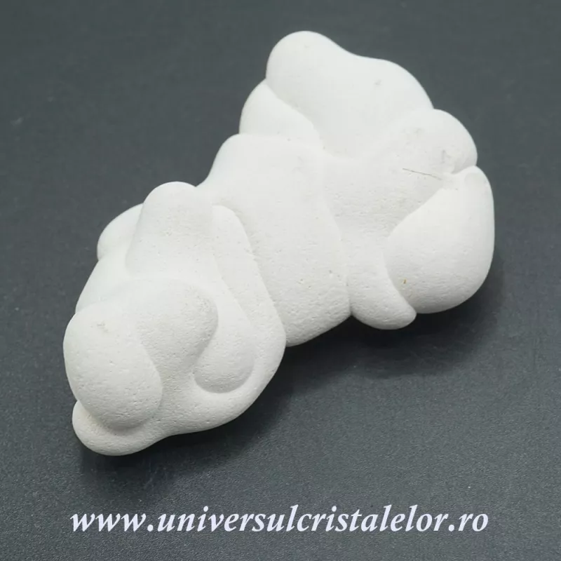 Piatra Zanelor ( menilit ) Piatra Zanelor ( menilit )