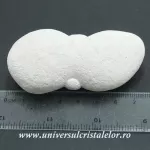 Piatra Zanelor ( menilit ) Piatra Zanelor ( menilit )