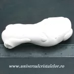 Piatra Zanelor ( menilit ) Piatra Zanelor ( menilit )