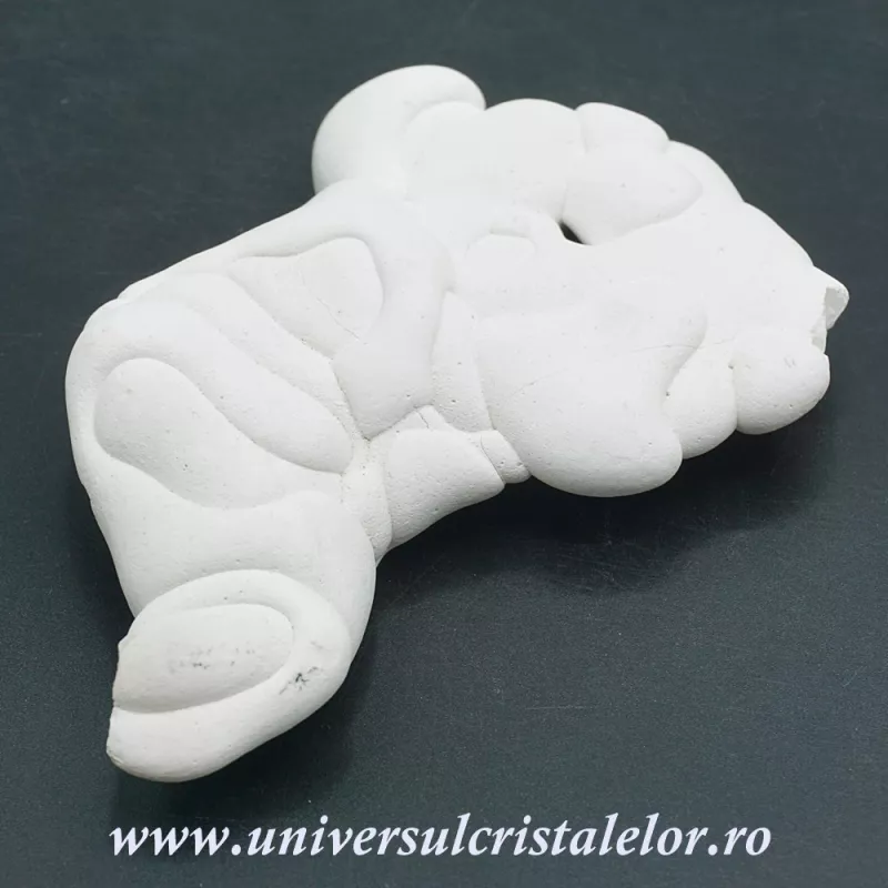 Piatra Zanelor ( menilit ) Piatra Zanelor ( menilit )