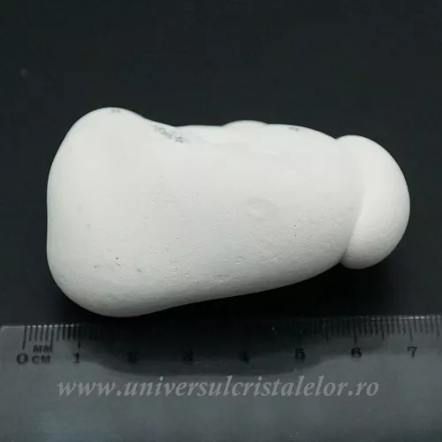 Piatra Zanelor ( menilit ) 