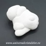 Piatra Zanelor ( menilit ) Piatra Zanelor ( menilit )