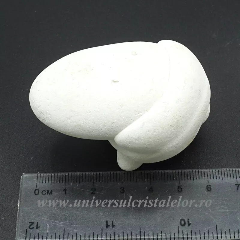 Piatra Zanelor ( menilit ) Piatra Zanelor ( menilit )