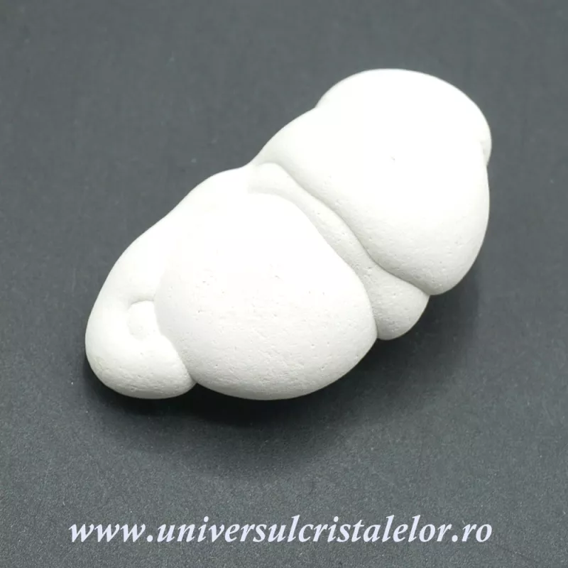 Piatra Zanelor ( menilit ) Piatra Zanelor ( menilit )