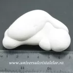 Piatra Zanelor ( menilit ) Piatra Zanelor ( menilit )
