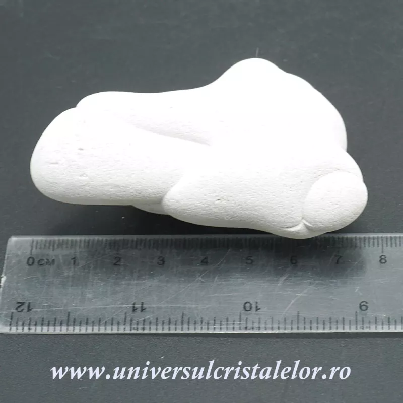 Piatra Zanelor ( menilit ) Piatra Zanelor ( menilit )