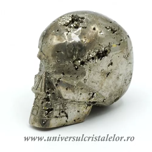 Craniu pirita m2 Craniu pirita m2