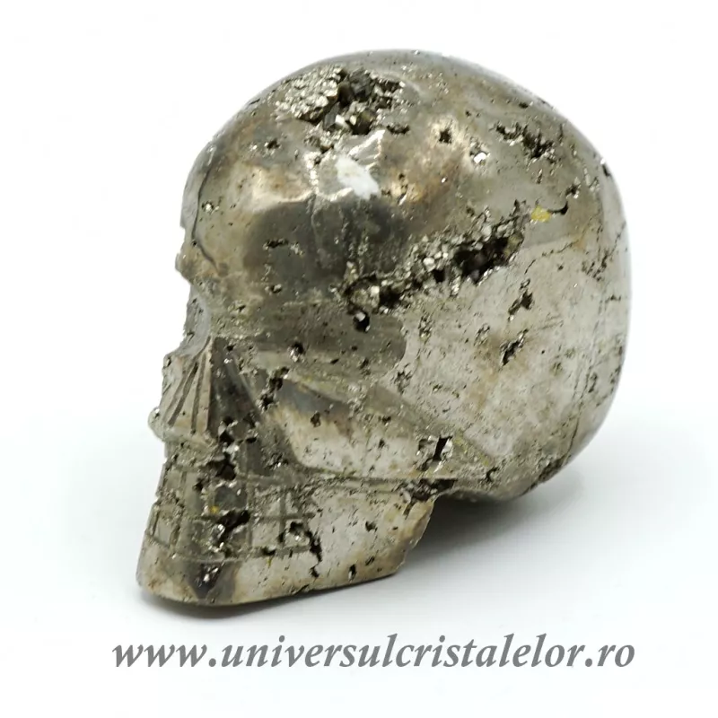 Craniu pirita m2 Craniu pirita m2